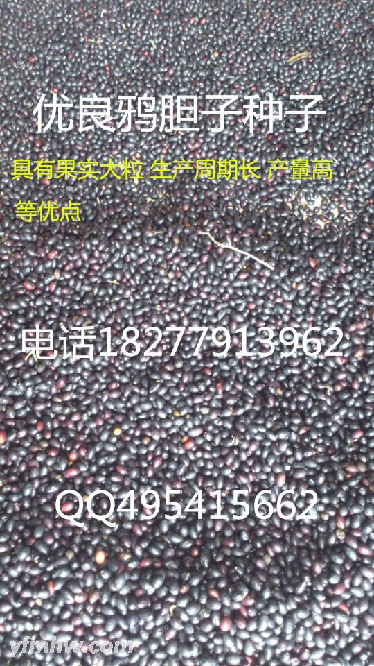 QQͼƬ20150901124502 -  -  - .jpg
