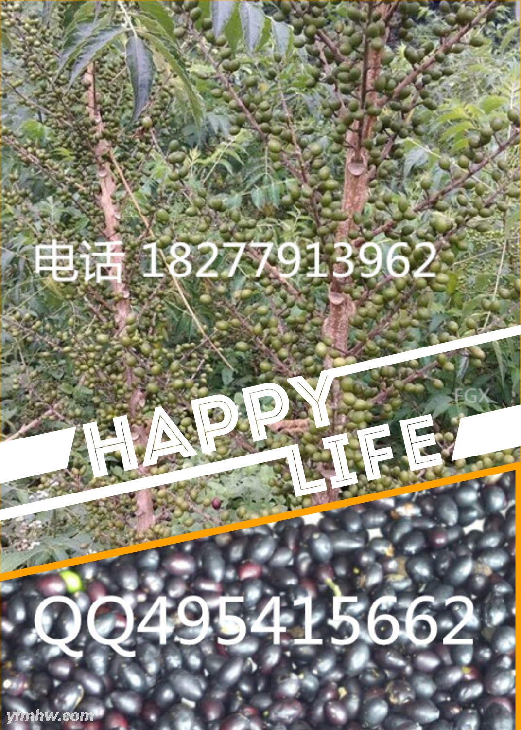 QQͼƬ20150901143031 - .jpg