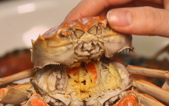 d5d3da9c06249f4e6047ad7590d7da1c.gif